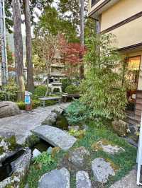 〜神奈川県〜おいしいよもぎスイーツを食べれるヨモギ屋