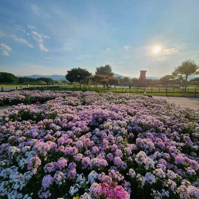 여름의 경주🩵