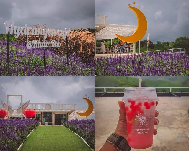 เขาค้อ 2 วัน 1 คืน@เพชรบูรณ์