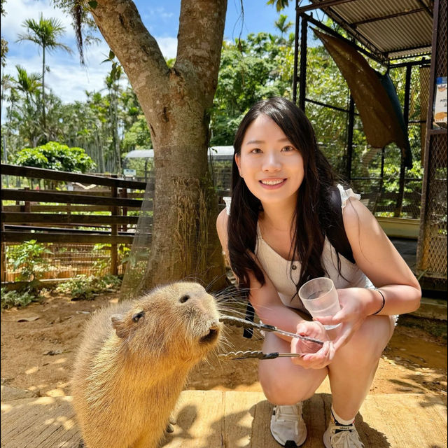  沖繩必去💗東南植物樂園