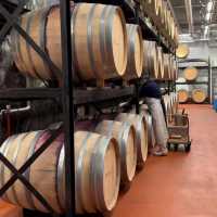 【北海道/池田町】ワイン城で無料の城内ツアーに参加🍷