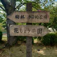 四季折々のイベント「大池公園」