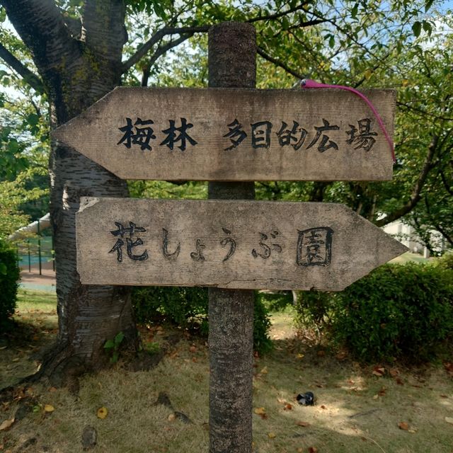四季折々のイベント「大池公園」