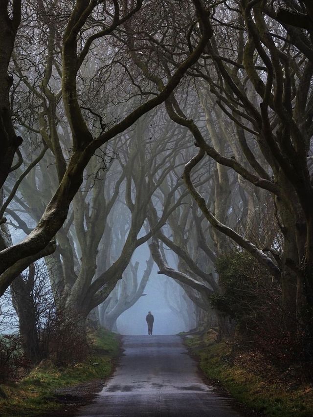 🇬🇧The Beauty of Northern Ireland🌊💐