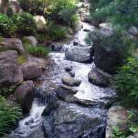 （隱藏景點）福岡大濠公園日本庭園打卡