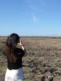 Get in touch with nature at Baluran National Park
