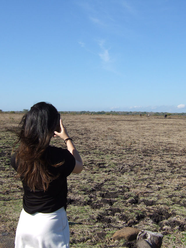 Get in touch with nature at Baluran National Park