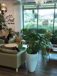 Trat my home 