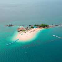 เกาะแมว สวรรค์ของเหล่าทาส! 🐈🏝