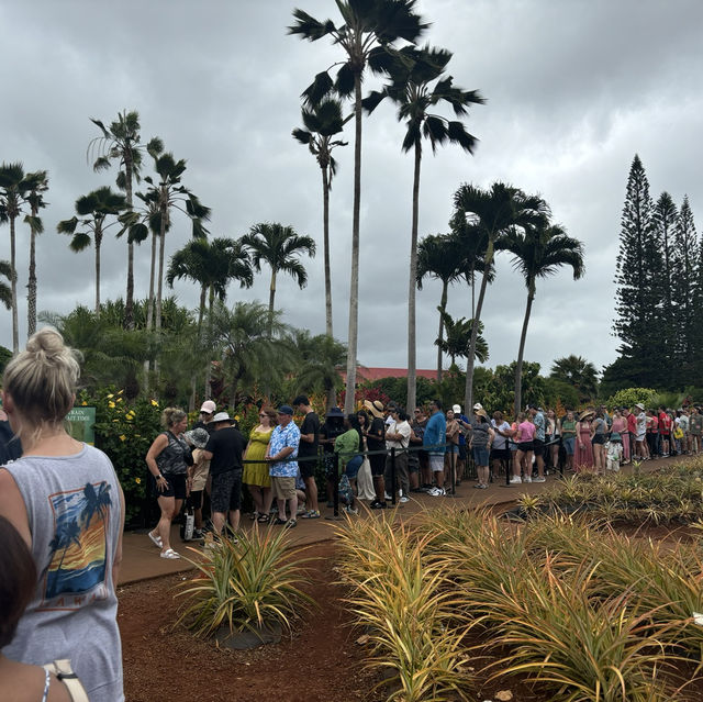 Dole plantation