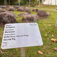 "Review of S2 Hill Park: A Family-Friendly Destination with Scenic Views and Fun Amenities"