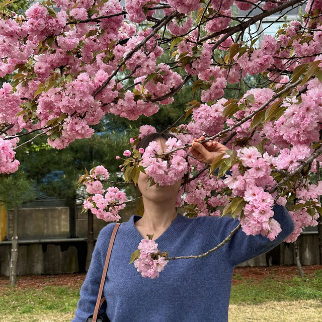 예쁜 꽃과 산책을 즐길수 있는 미사경정공원🌸