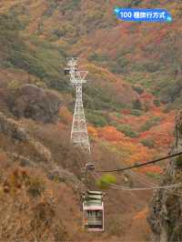 日本三大溪谷的紅葉纜車