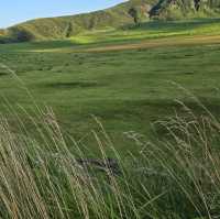 Nature's Splendor: Kusasenrigahama ("thousand miles of grass") @ Aso Volcano 