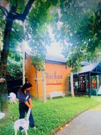 🧋ก๋งเลี้ยง Rasta นาข้าวคาเฟ่🥤| ตราด☕️