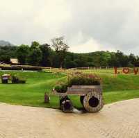 Delightful Experience Feeding Cute Apaches at Palio Thailand