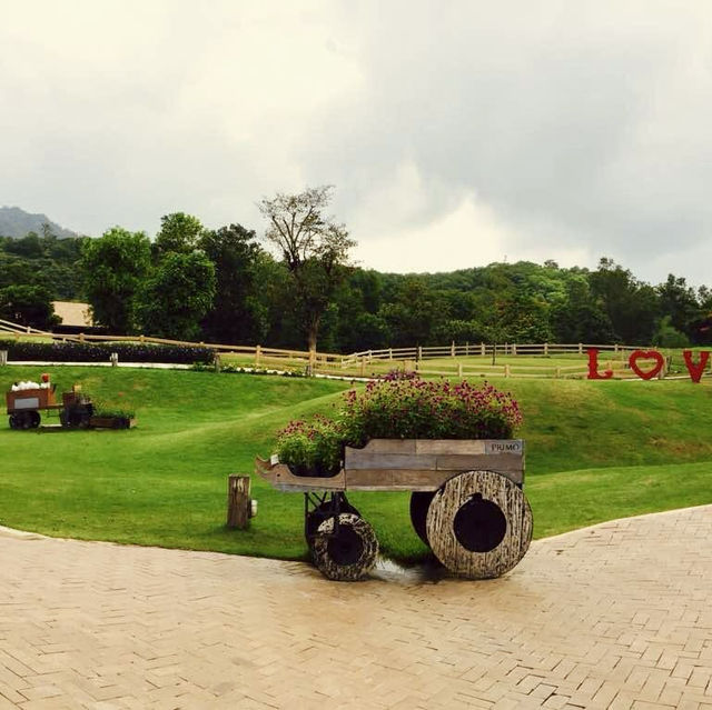 Delightful Experience Feeding Cute Apaches at Palio Thailand