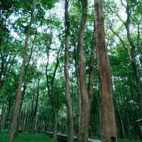 เปย์ใจให้สายเดินป่ากับศูนย์รวมตะวัน ณ กาญจนบุรี