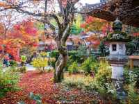 วัดโจจัคคุจิ (Jojakkoji Temple)