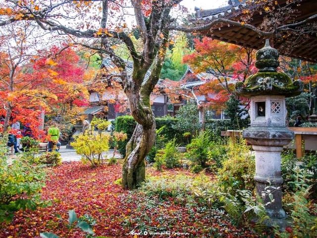 วัดโจจัคคุจิ (Jojakkoji Temple)