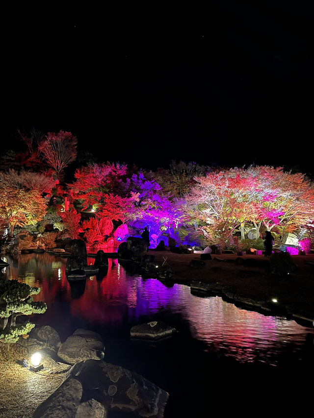 【大分観光】ライトアップされた紅葉を楽しめる日本庭園🍁✨️