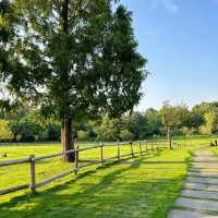 Garth Park：綠油油的自然天堂與迷人夕陽🌳🌅✨