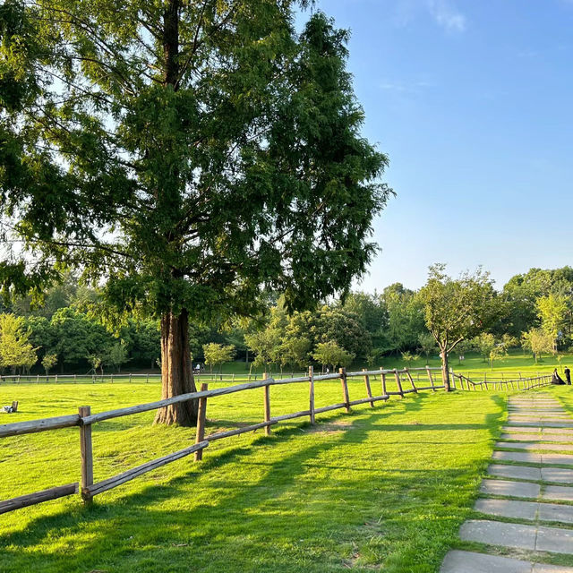 Garth Park：綠油油的自然天堂與迷人夕陽🌳🌅✨