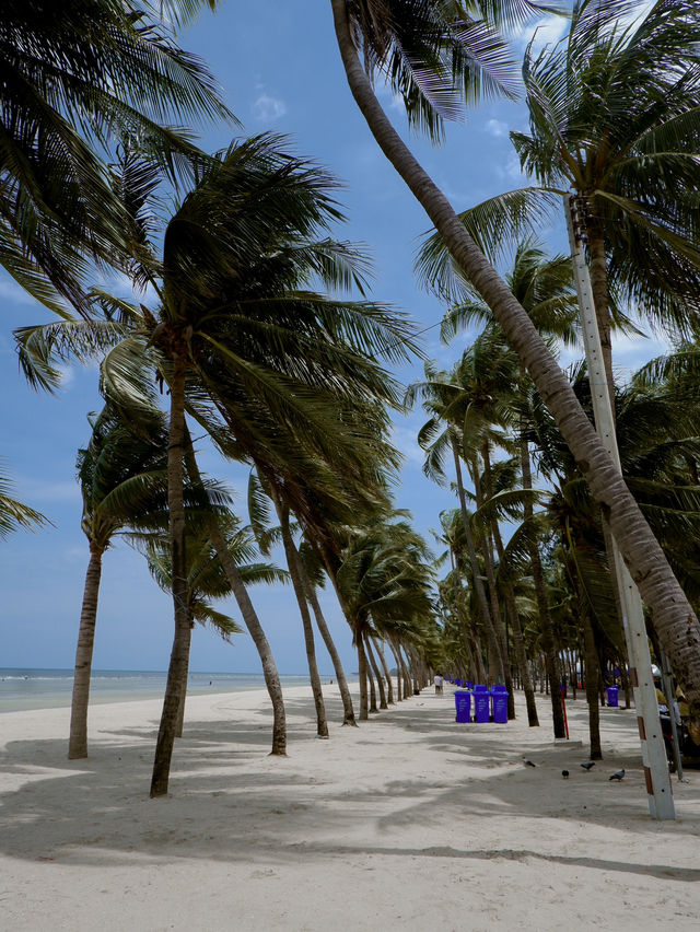 เช่ารถเที่ยวหาดบางแสน 🌊🩵✨🌴