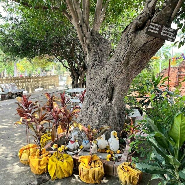 Wat Phra Prathon Chedi Worawihan