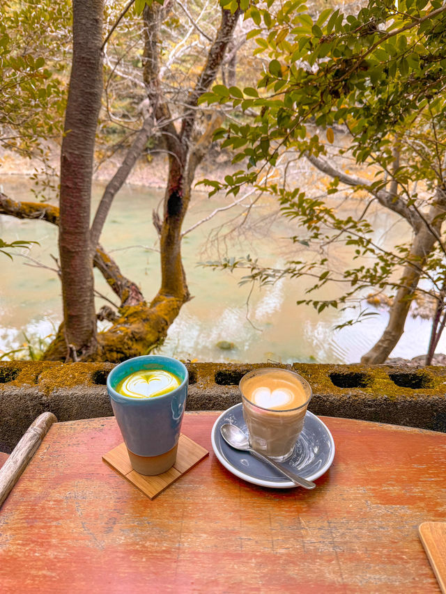 COFFEE WITH A VIEW IN KYOTO 🇯🇵 #TravelDiaries 