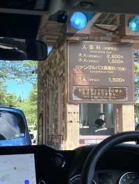 近距離餵動物嘅難忘體驗 