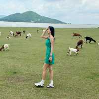 สวิตเซอร์แลนด์เมืองไทย
