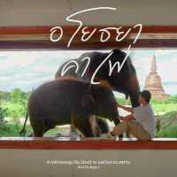 ไปถ่ายรูปกับน้องช้างที่ Ayothaya Cafe