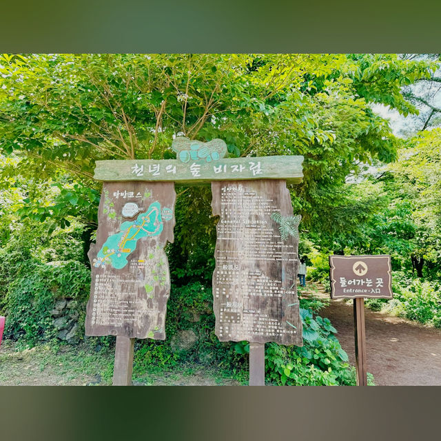 Bijarim Forest