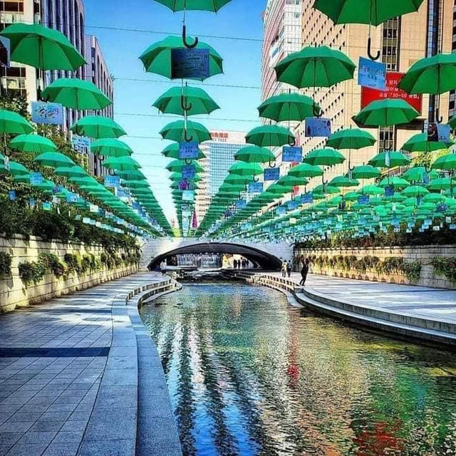 Urban Serenity at Cheonggyecheon Stream