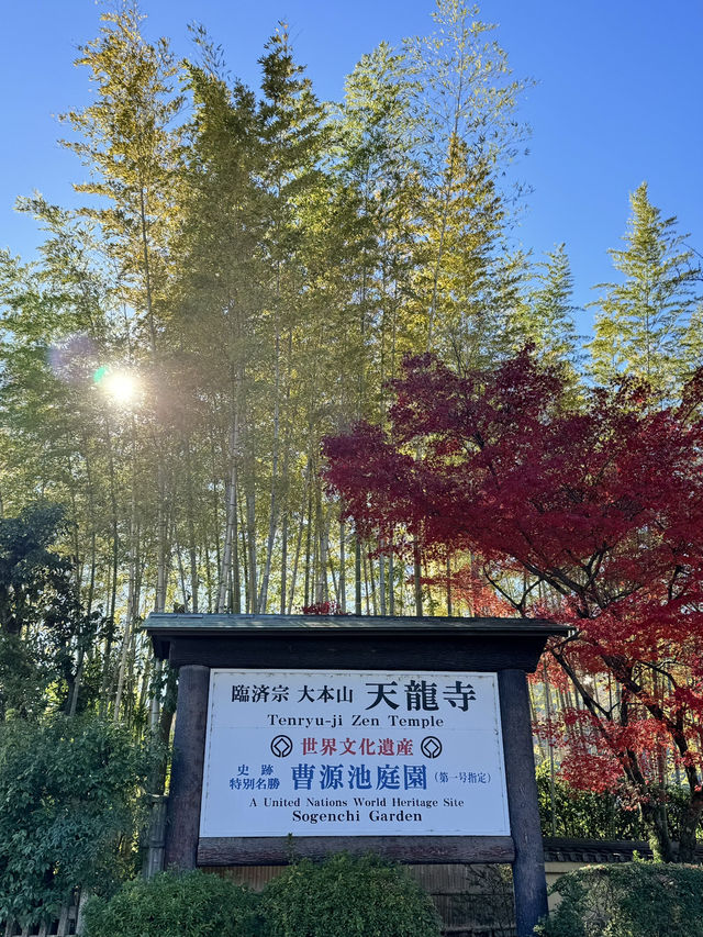 【京都嵐山】世界遺産天龍寺の紅葉✨ 曹源池庭園！
