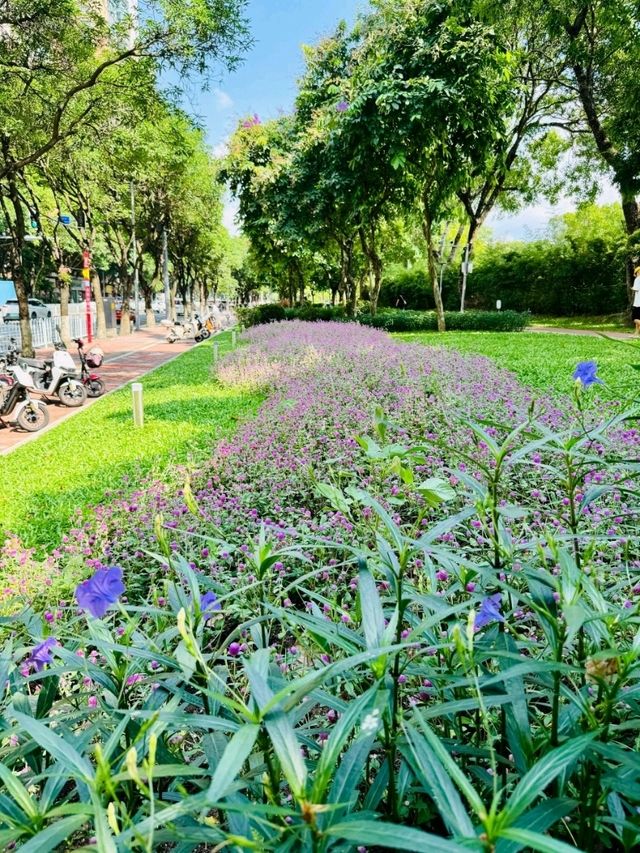 Tianhe Park – A Peaceful Escape in the Heart of Tianhe District