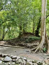 น้ำพุธรรมชาติบ้านท่าช้าง เขาใหญ่🌳