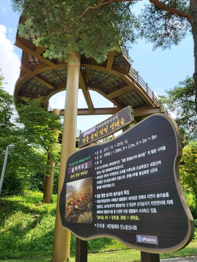 곧 단풍 물들면 더 아름다워질 정읍여행지