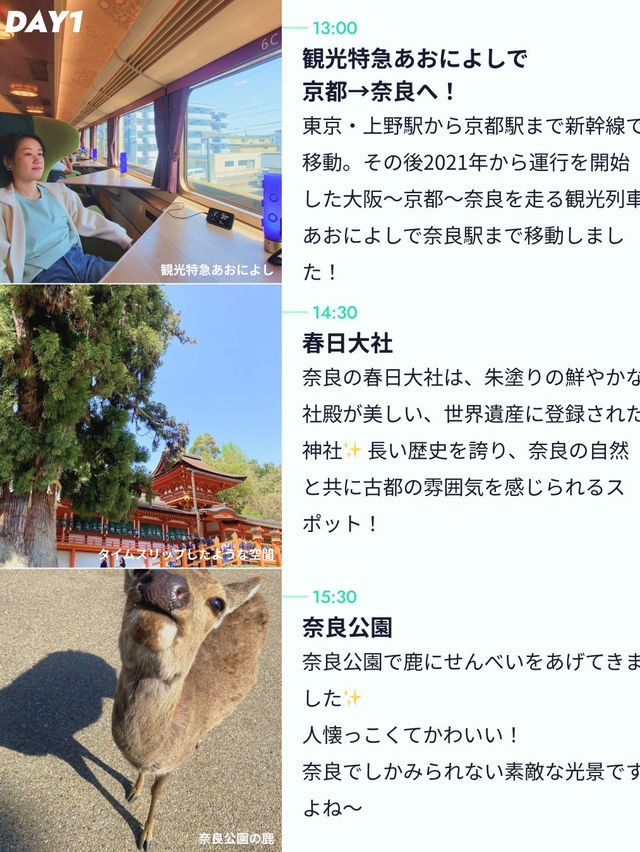 【カップルで2泊3日💓大阪・奈良旅行🦌】