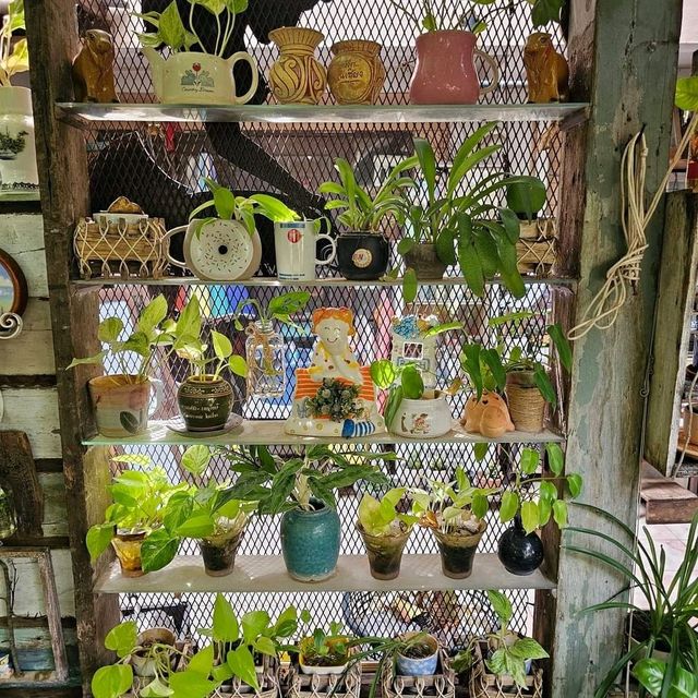 eight de klong คาเฟ่