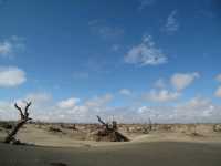 Desert Pit Stop: Fun and Adventure in the Taklamakan Desert