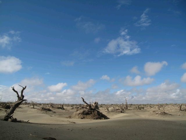 Desert Pit Stop: Fun and Adventure in the Taklamakan Desert