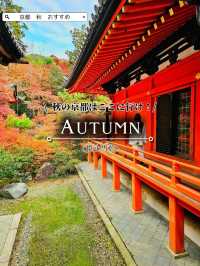 【京都/紅葉スポット】階段一面に落ちた紅葉で大人気💡市内から離れているのに大混雑スポット！