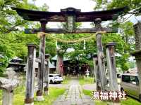 【長野県】聳え立つ欅の大木を見に行こう！