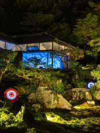 期間限定🦋💙ྀིいまだけ青く照らされるお寺 幻想的な青岸寺🐯♡光明の灯り