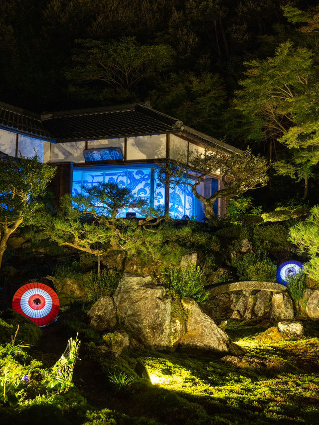 期間限定🦋💙ྀིいまだけ青く照らされるお寺 幻想的な青岸寺🐯♡光明の灯り