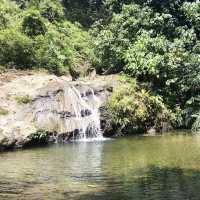  Exploring the Borneo Rainforest: A Journey into Nature's Wonderland
