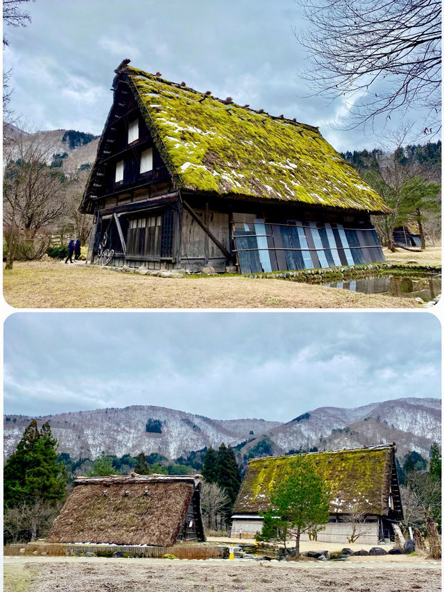 【日本飛騨】白川郷合掌村：世界遺產，獨特的合掌造建築風格
