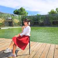 Niagara N Garden | คาเฟ่เครื่องบินสุดชิค ✈️ 